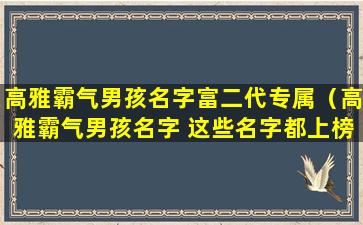 高雅霸气男孩名字富二代专属（高雅霸气男孩名字 这些名字都上榜了）